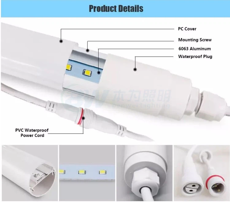 poultry light