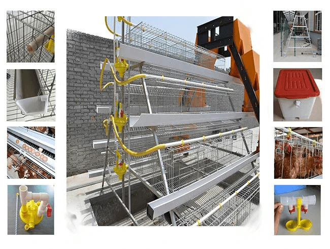 layer-cage layer-cage