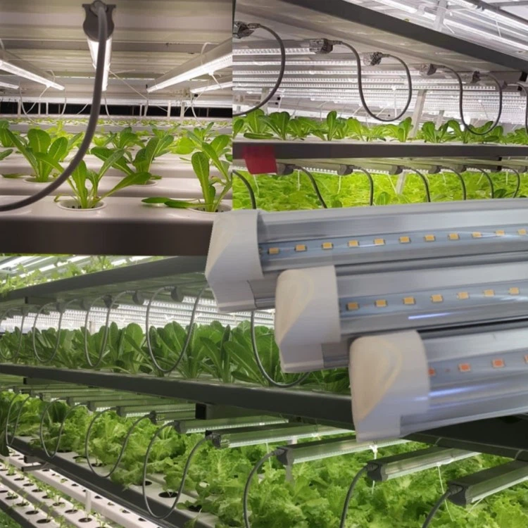 indoor grow lights indoor grow lights