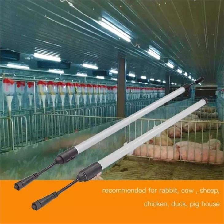 Poultry Light House