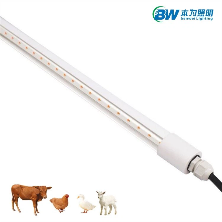 Chicken Coop Timer Light