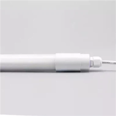 Oświetlenie farmy kurczaków