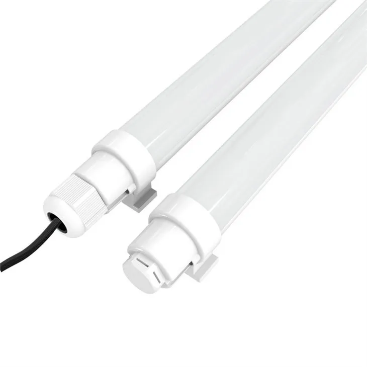 egg laying lights for chickens