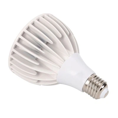 Uprawiaj Cebule Dla Roślin