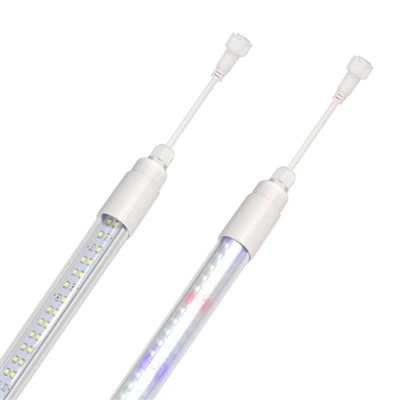 Nasiona Uruchamianie Rosną Światła