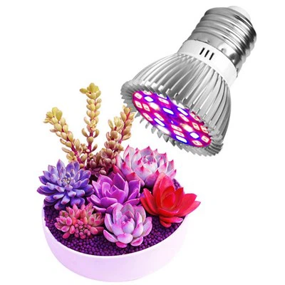 światło słoneczne żarówki dla roślin