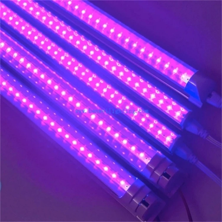 395nm UV black light1 395nm UV black light1