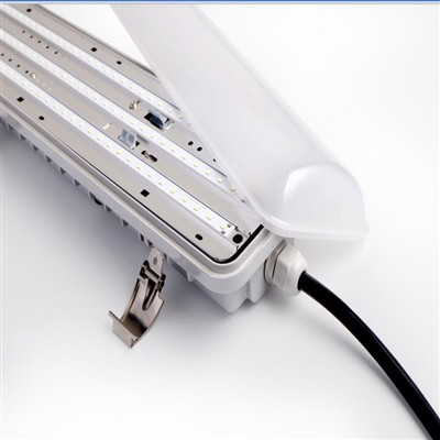 Jak jasne są diody LED Tri -?