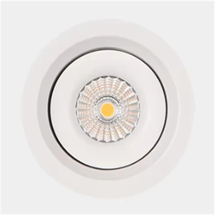 IP44 Led Cob Down Light high quality