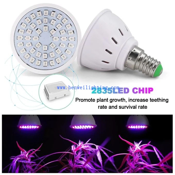 LED Grow Full Spectrum Bulb 3