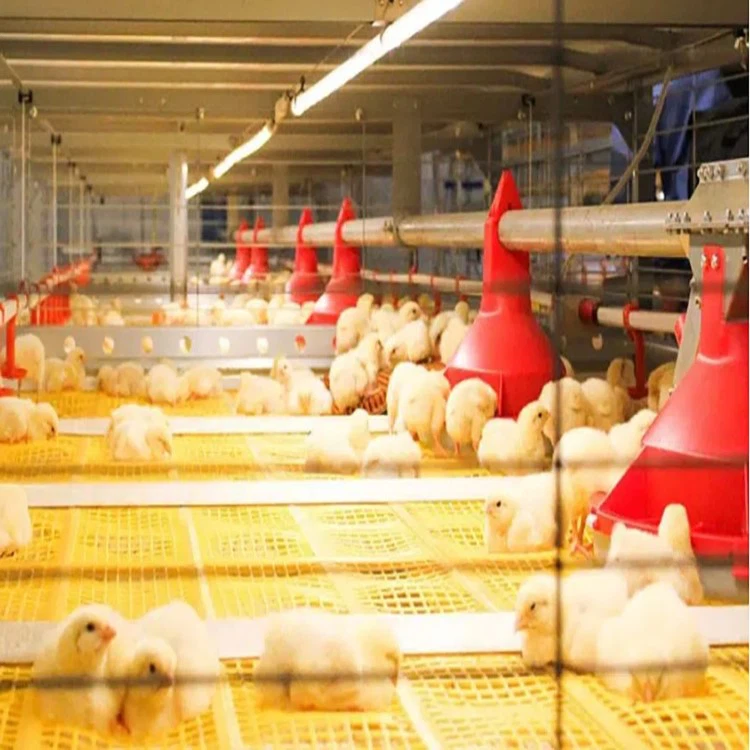 7b965296fd0ab1747fcab501c239cabc 7b965296fd0ab1747fcab501c239cabc