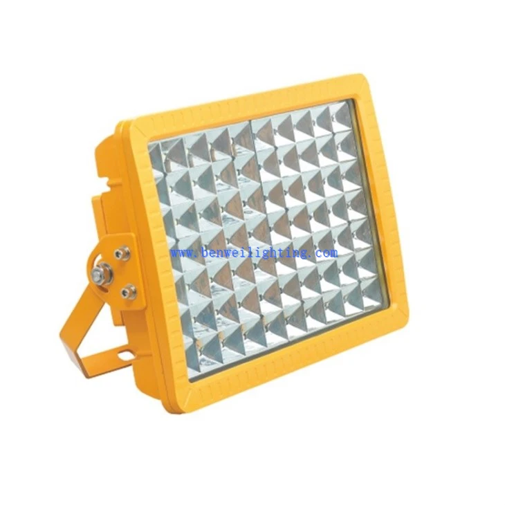 Petroleum-grade LED Light (1)