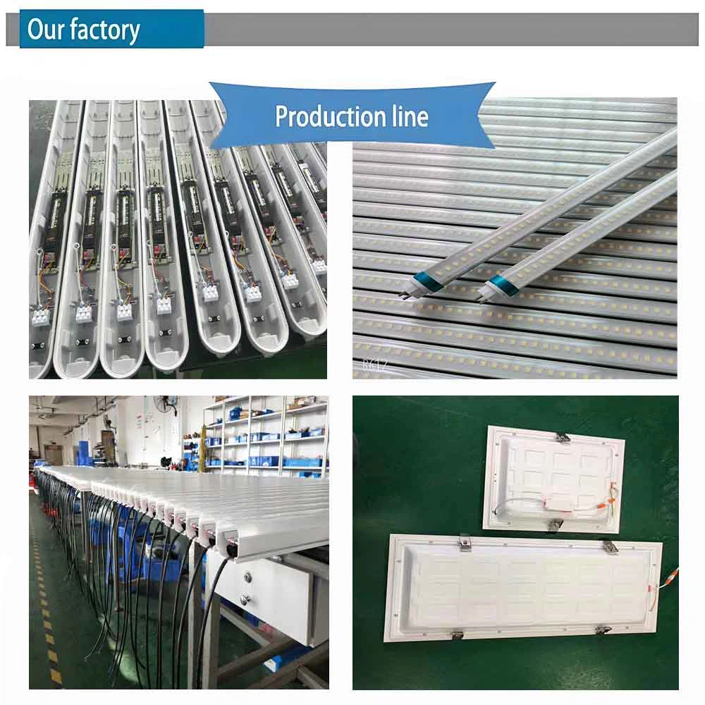 LED poultry lights for chicken lighting LED poultry lights for chicken lighting