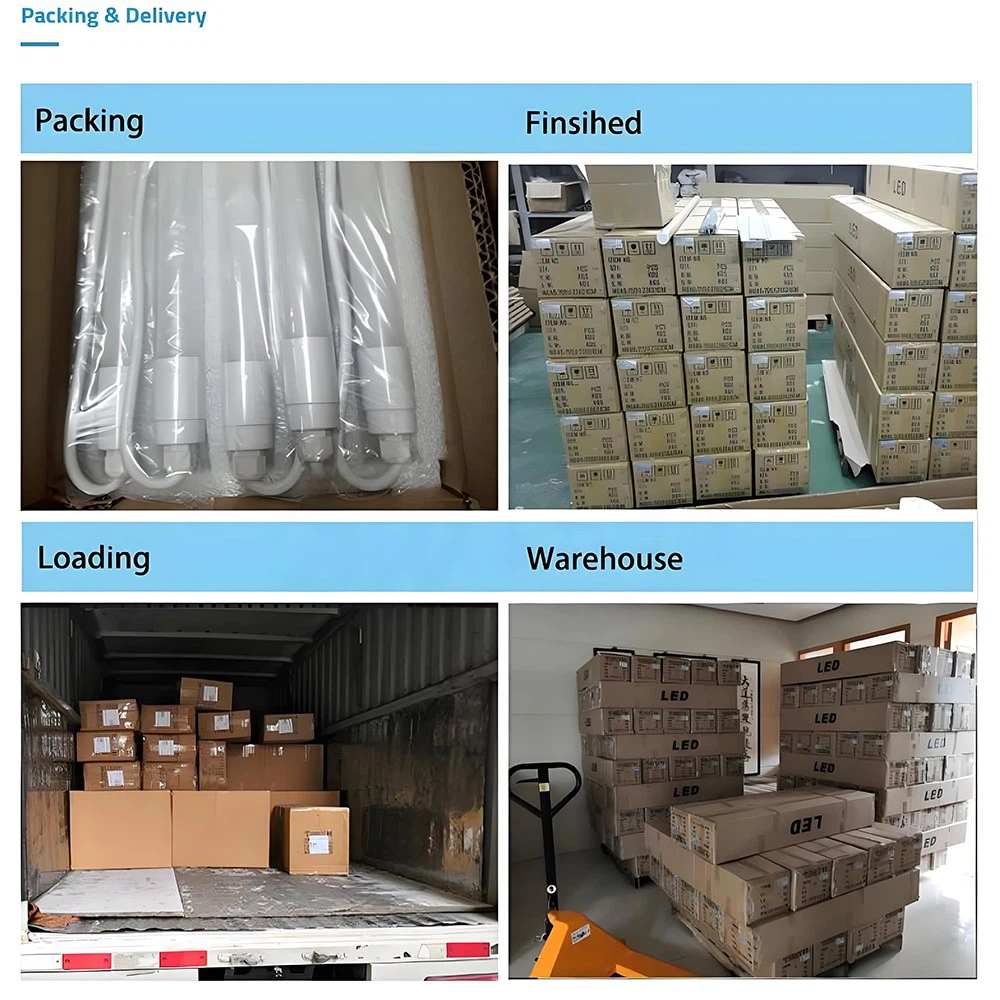 chicken farm led light chicken farm led light