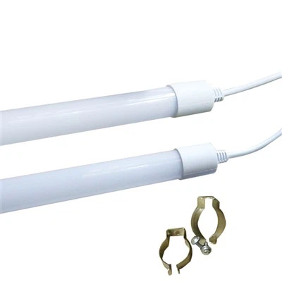 Jajko-Lekkie kury nioski