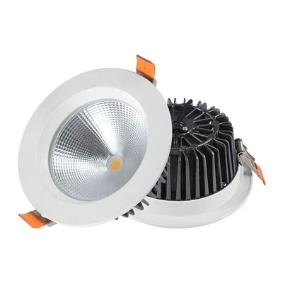 Żarówki LED typu Downlight o mocy 30W