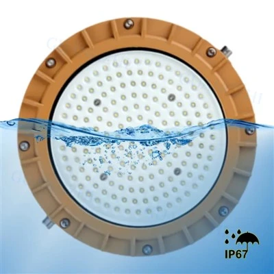 Reflektor przeciwwybuchowy LED DC 24V