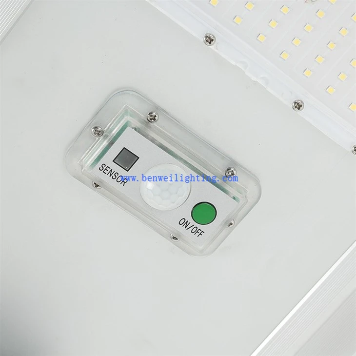 Solar Streetlight (2)